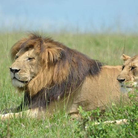 Rekero Camp 호텔 Mara Simba 외부 사진